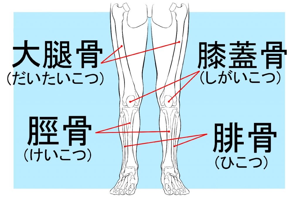 脚的各个部位详细图(腿的各个部位详细图 疼痛) 