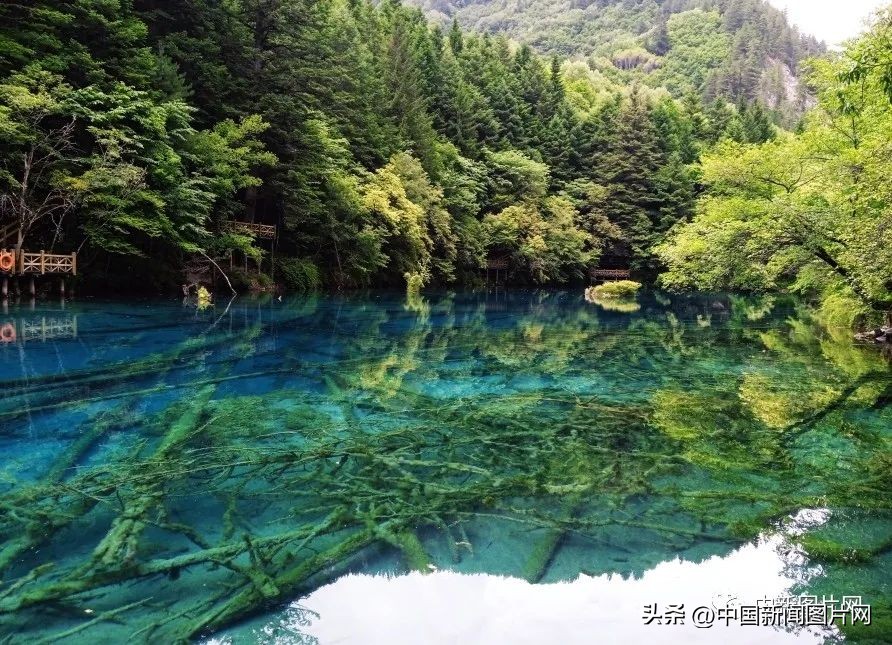 倒计时3天 | 保护生物多样性，我们在行动