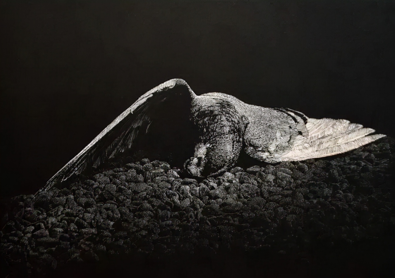 全球顶级八大美院你更pick谁？每一张都是视觉的顶级享受