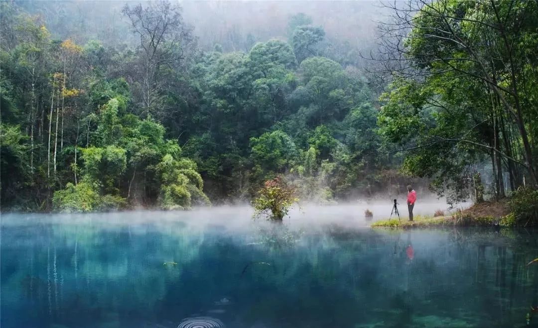 中国值得去的10大森林景点，自然风光爱好者打卡地，你去过几个？