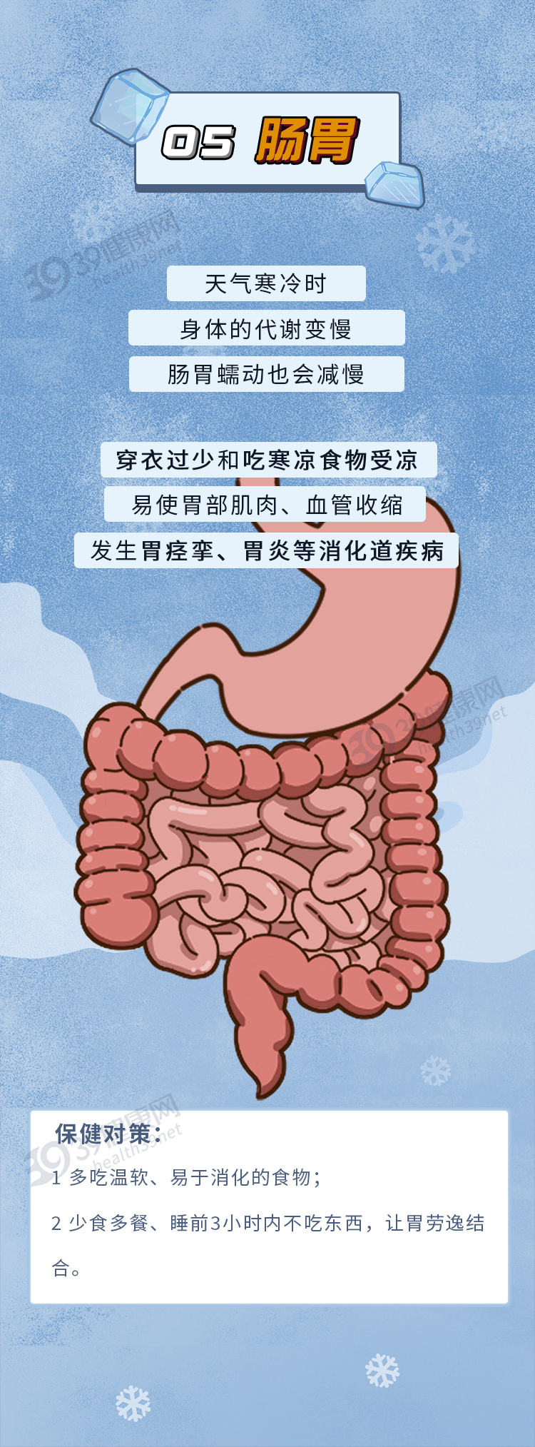 冬日轻进补，健康巧养生，多吃7种平价养生食材，祛湿健脾好过冬