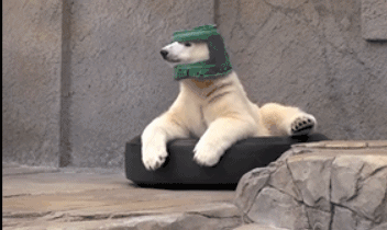 妻子与上司发生关系，丈夫目睹不敢出声：无底线纵欲，多可怕？