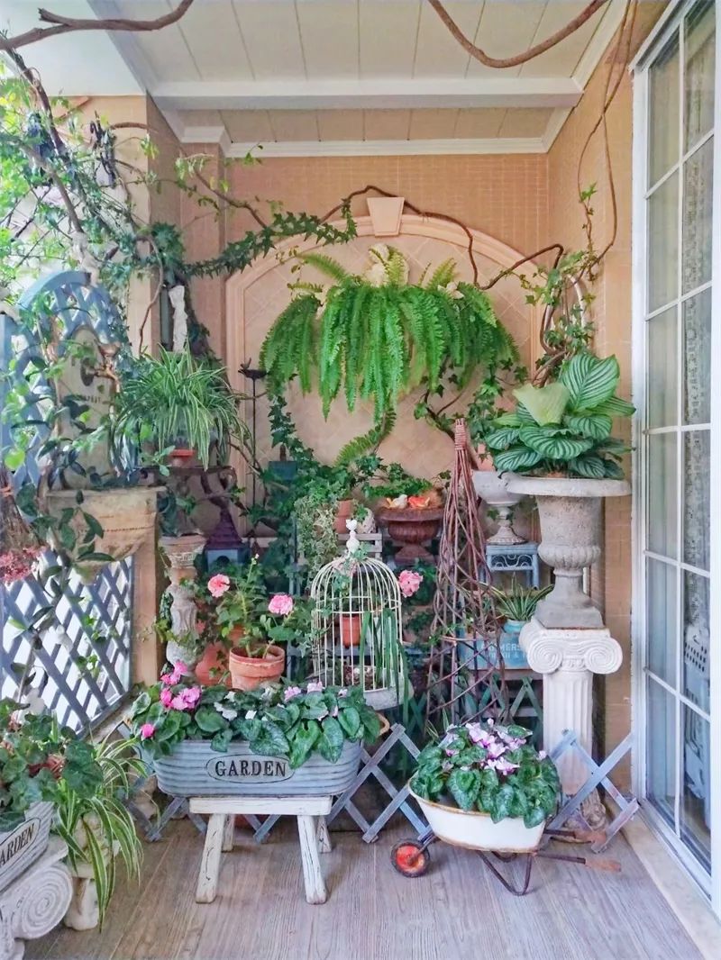 阳台花园，在这个面积不大的地方造梦，美了岁月，醉了时光