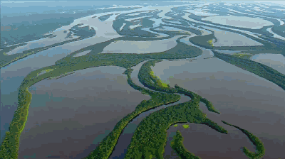 йɳĮɭֿ֣ȴ67%ȵĸԴҵˣ