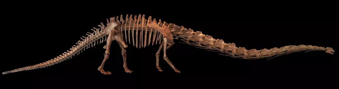 成都这所高校“火了”！食宿配置豪华，拥有绝美风光，学生幸福感爆棚！