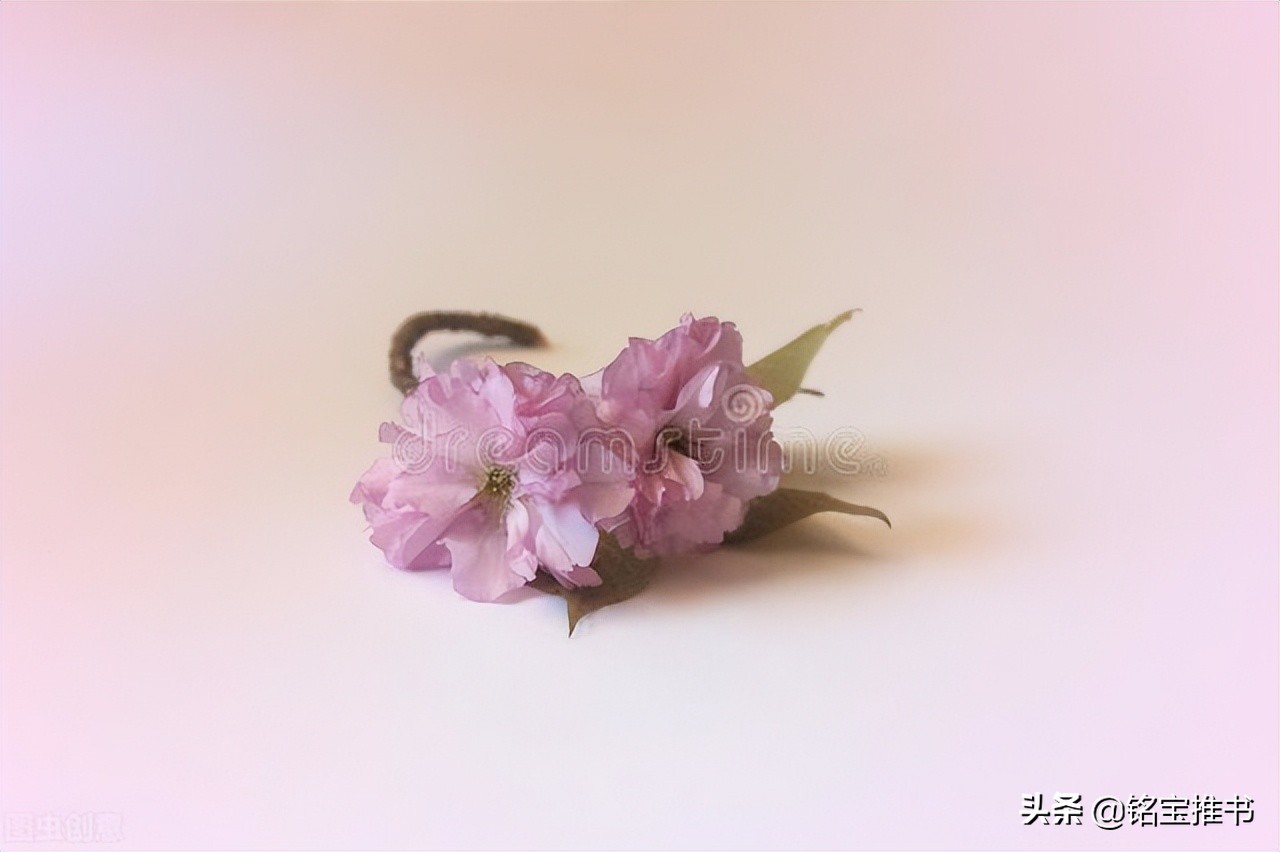 四本经典言情小说，《天子谋》真心好看，别错过