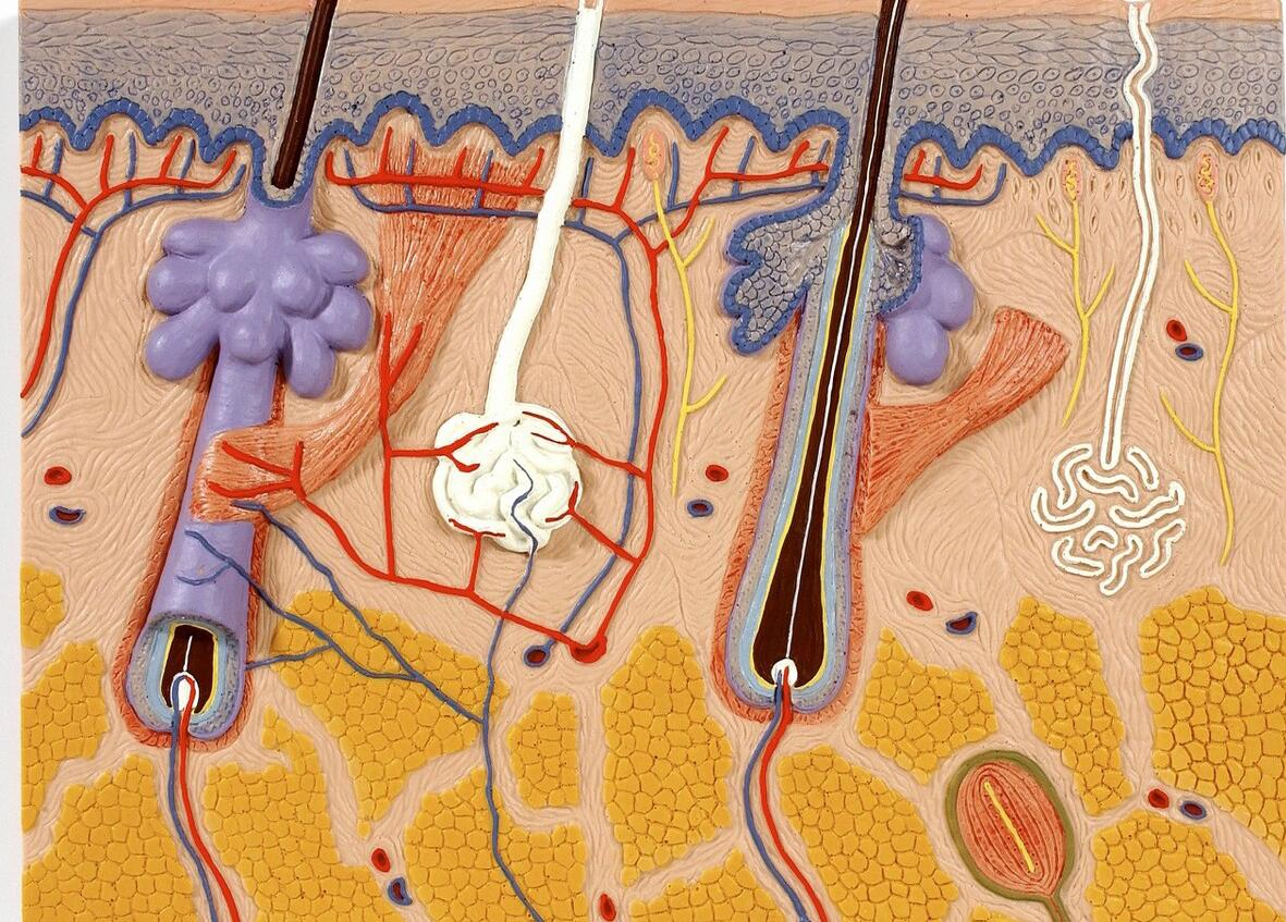 结痂的伤口,痒到怀疑人生,到底该怎么对待?看看医生怎么说