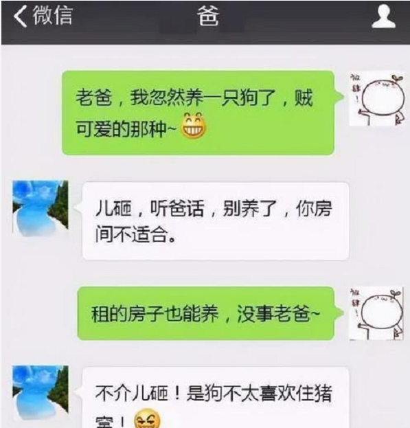 男大学生和父母的“聊天记录”走红，上演一部宫斗剧，画面感十足