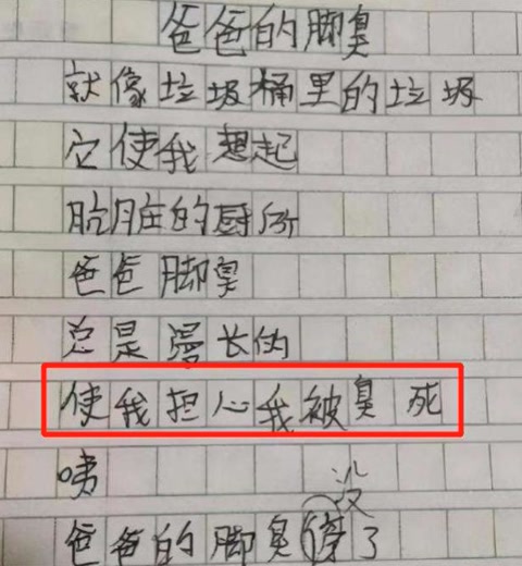 《我的小姨》一片小学生作文