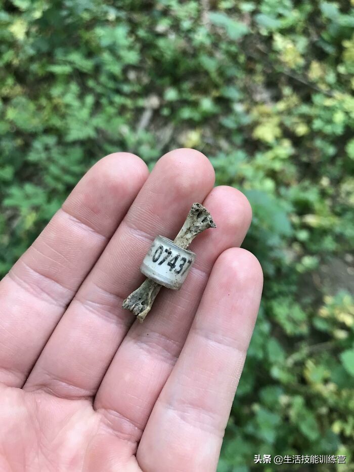 50位网友分享自己用金属探测仪找到的宝贝