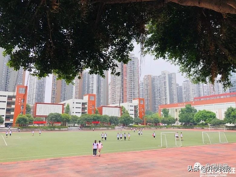 鲁能巴蜀中学校花(专访鲁能巴蜀中学美术班家长：特长生这条路，竞争比文化生更激烈)