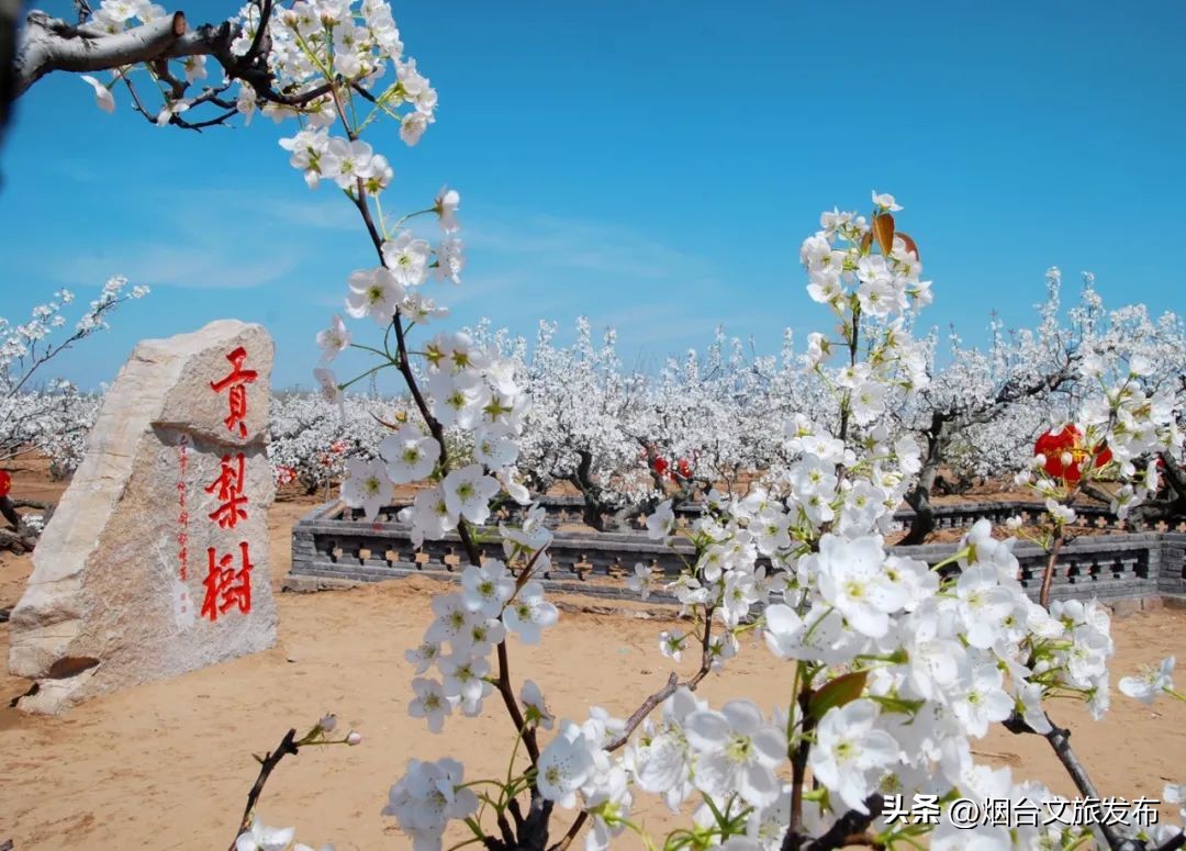 烟台旅游攻略必去景点（威海旅游攻略必去景点）-第4张图片-易算准