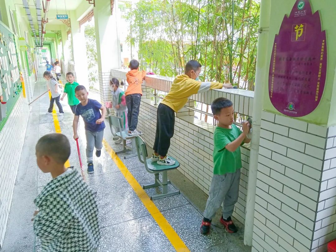 成都市双流区双华小学开展“当家竹娃爱劳动”主题教育活动