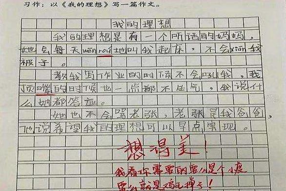 小学生作文《冤枉》走红，内容一波三折，网友看后表示：一点不冤