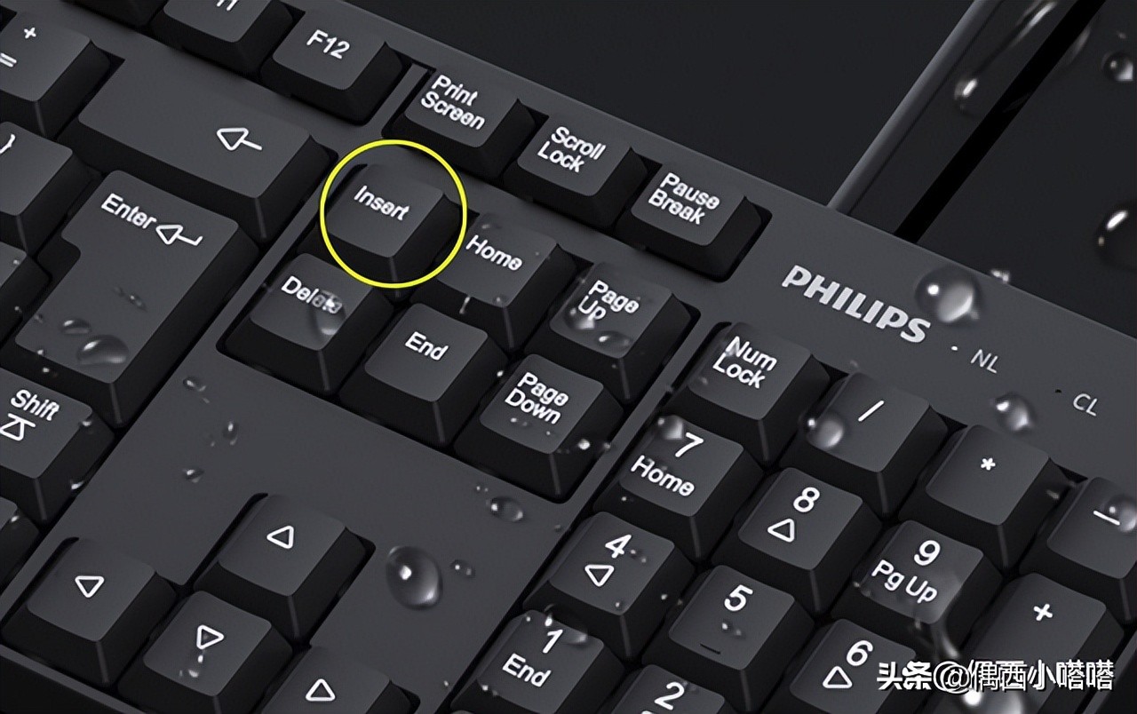 insert键在哪个位置（insert键在数字键盘上如何按出来）