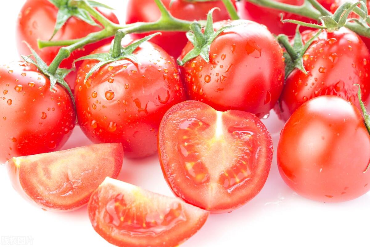 转基因番茄(为什么现在的西红柿没有小时候好吃了？跟转基因有关吗？)