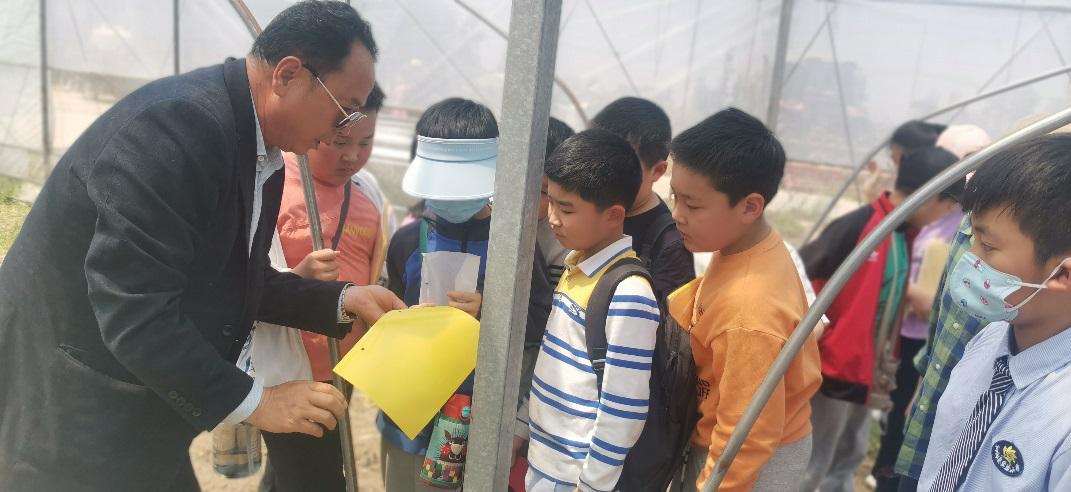 泗陽縣實驗小學:小小農(nóng)夫捉蟲忙(圖5) 泗陽縣實驗小學:小小農(nóng)夫捉蟲忙(圖5)