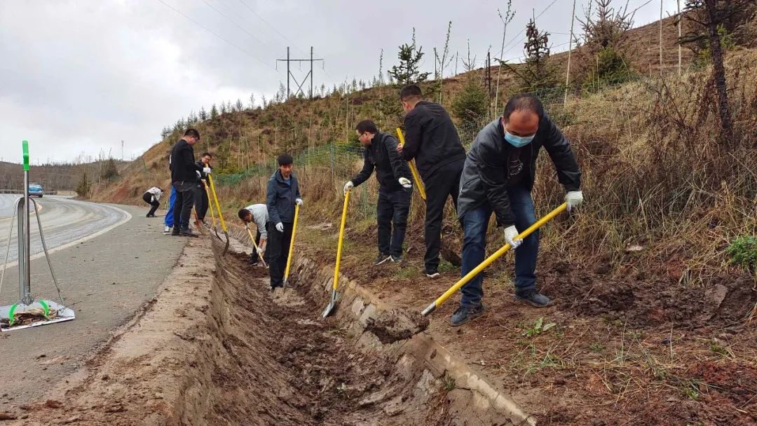 生态筑梦，绿色先行——临潭县开展山水林田湖草沙系统治理和公路沿线环境整治活动