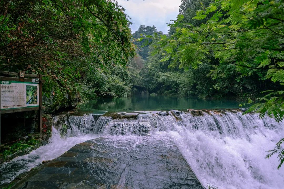 石台县旅游景点有哪些（石台县旅游景点有哪些名字）-第9张图片-巴山号