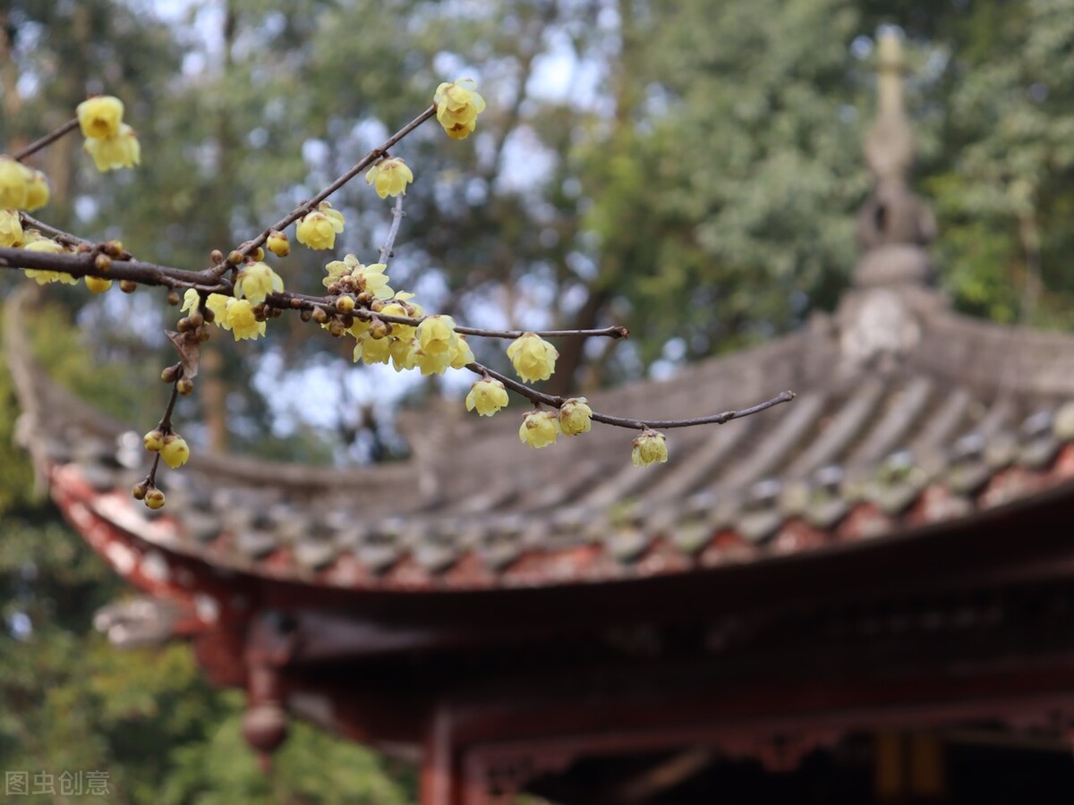 重生之回到大学（推完结小说）