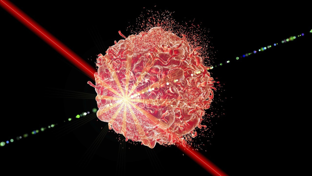 婴儿皮毛窦(新生儿的罕见病) - 乐宝宝贝