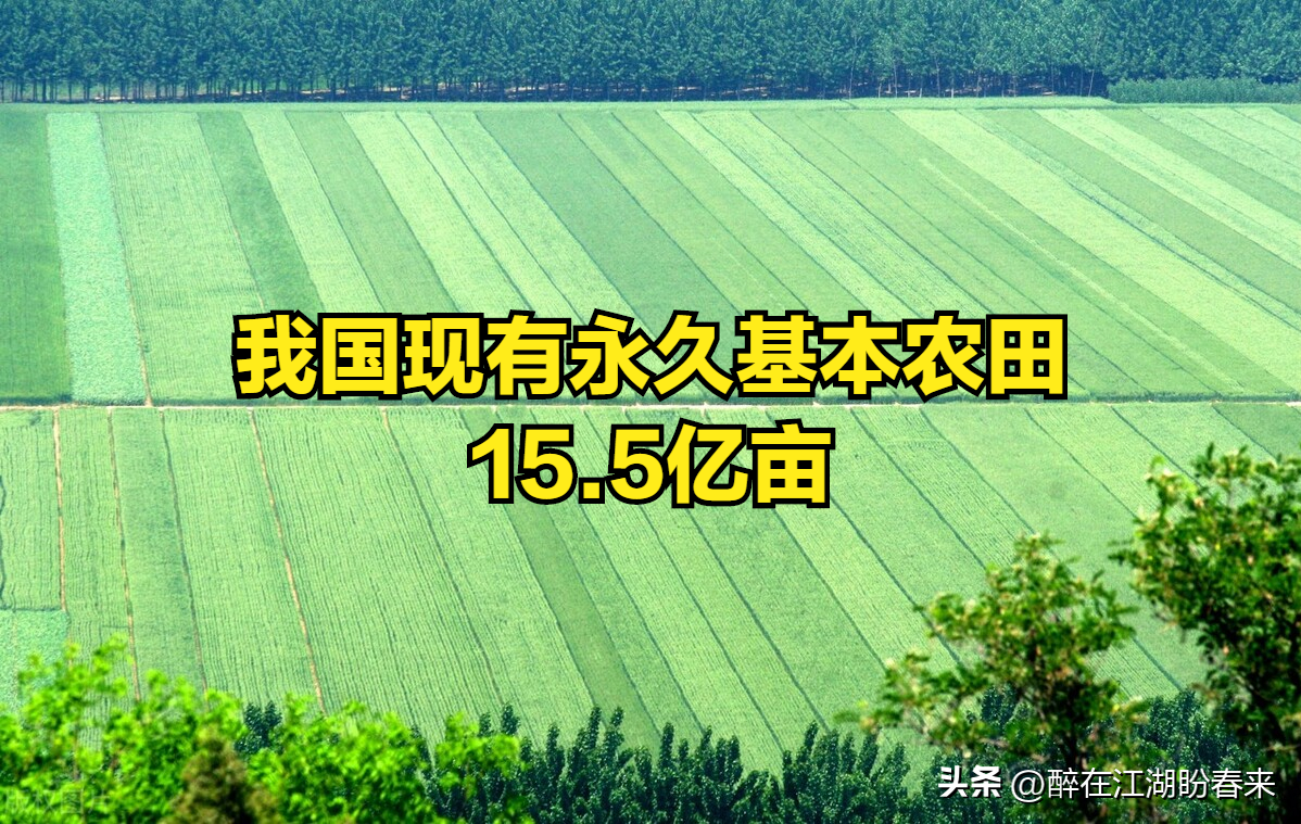 耕地分为基本农田和一般农田（耕地分为基本农田和一般耕地）-第2张图片-科灵网