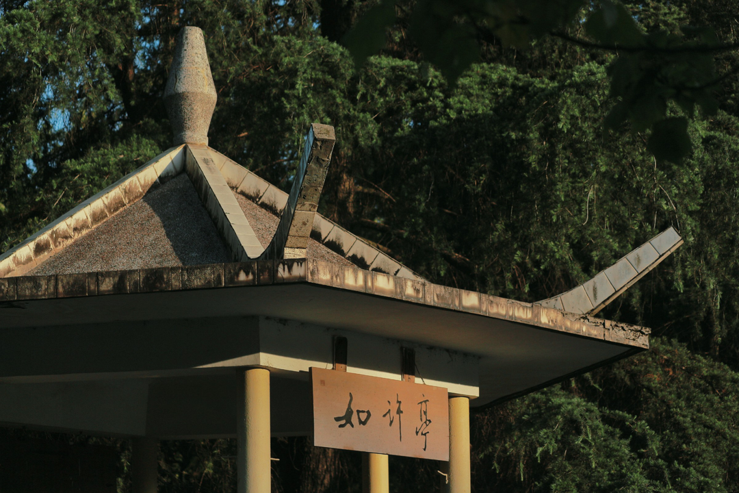 “恐龙”守候，坐拥4大食堂、水上图书馆！2022，成都理工大学等你来！