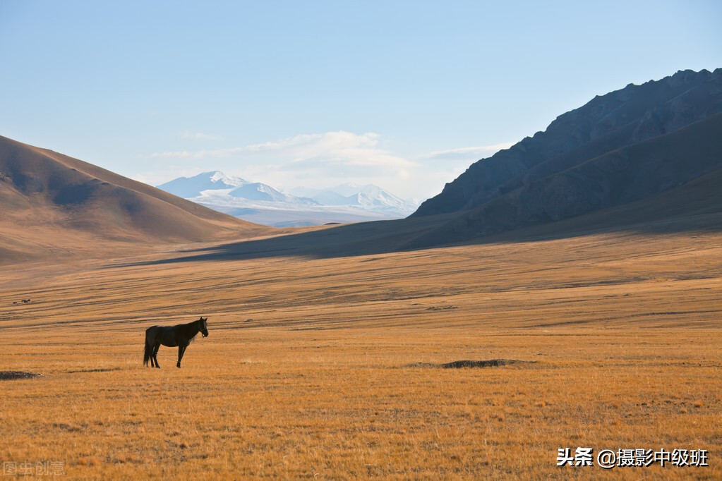 拍照片的3大忌讳，普通人不懂，摄影师却秘而不宣