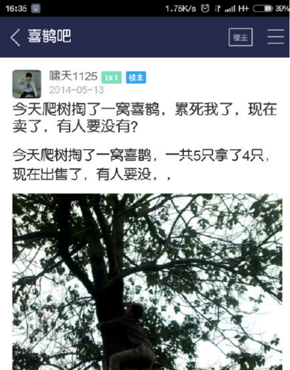 2014年，河南大学生抓16只鸟被判10年，其父喊冤：他只是个孩子