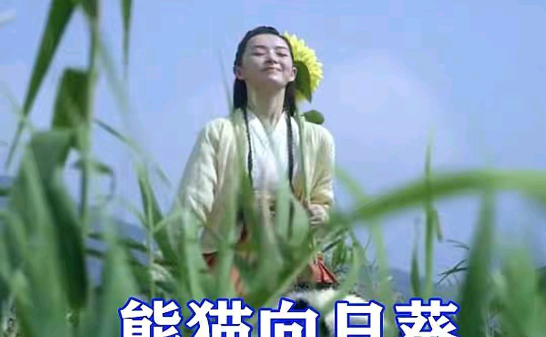 由张若昀,李庚希,胡军,张天爱,李纯,高伟光,刘瑞瑞等主演的古装电视剧