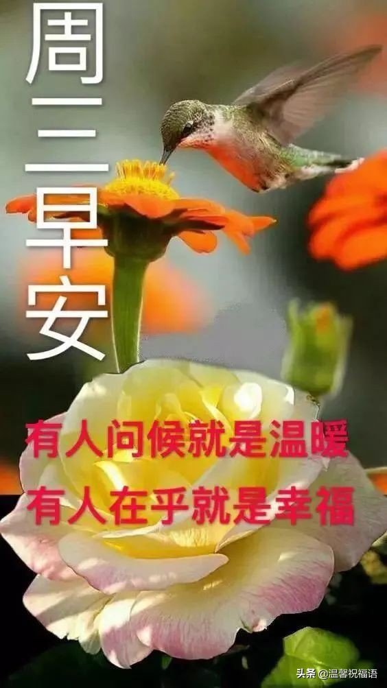 春天清晨早安快乐祝福语表情图片 周三很暖心的祝福语暖文字