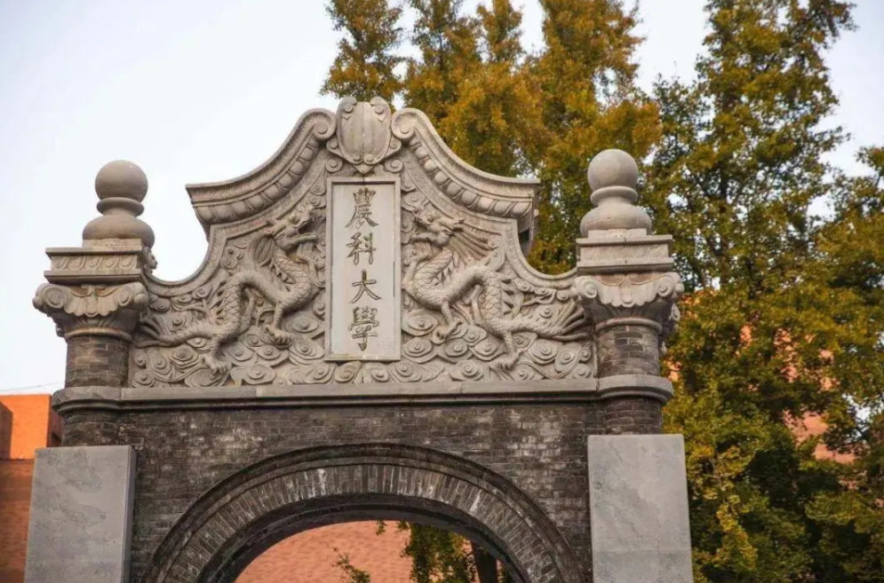 学院是985还是211学校(北京电影学院是985还是211大学) - 武陵观察网