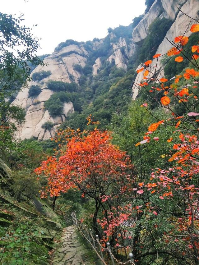 河南必去的6大山寨，山水相依，风景原生态，适宜全家自驾游