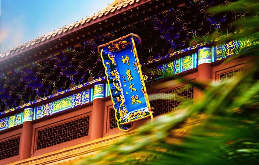 来炎陵吧，探问人生来处