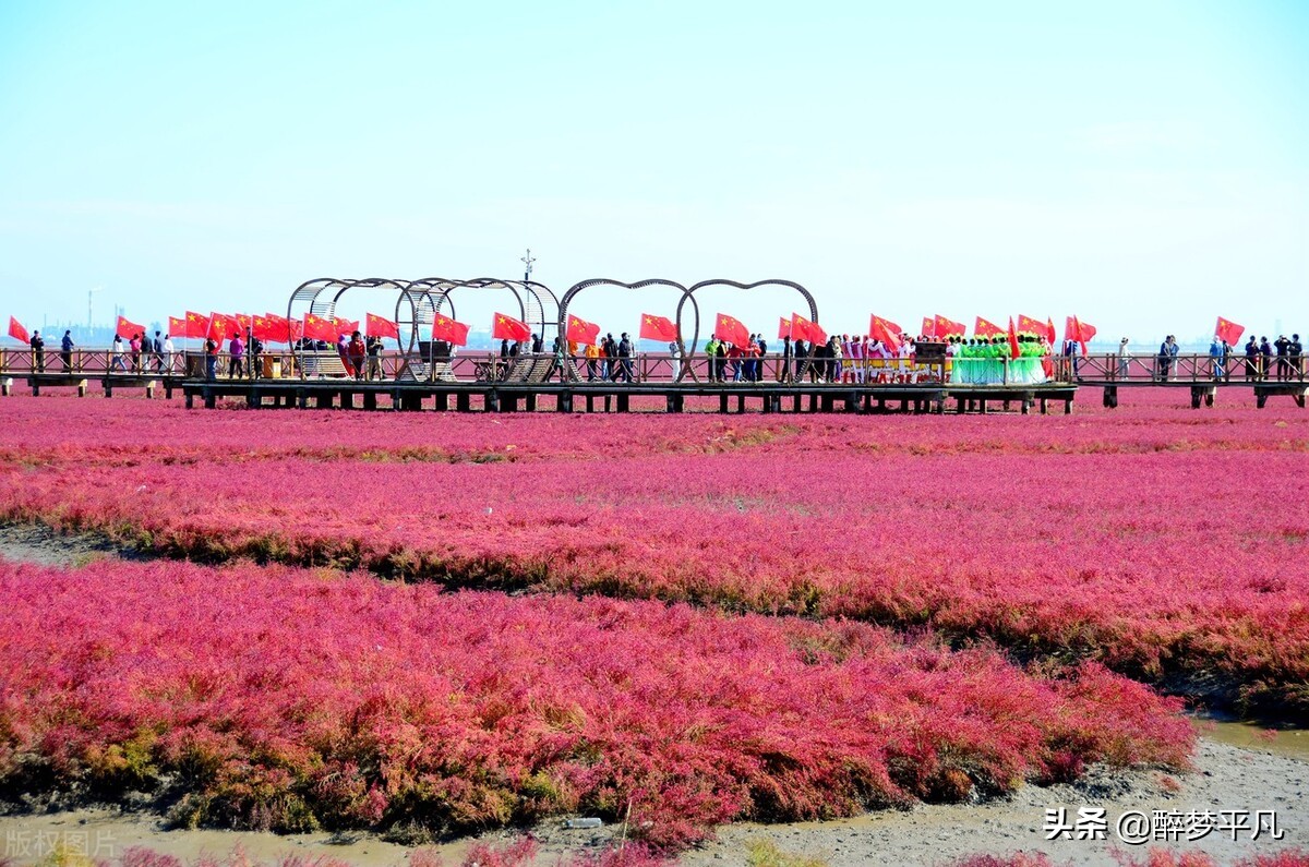 盘锦红海滩（辽宁５A景区）