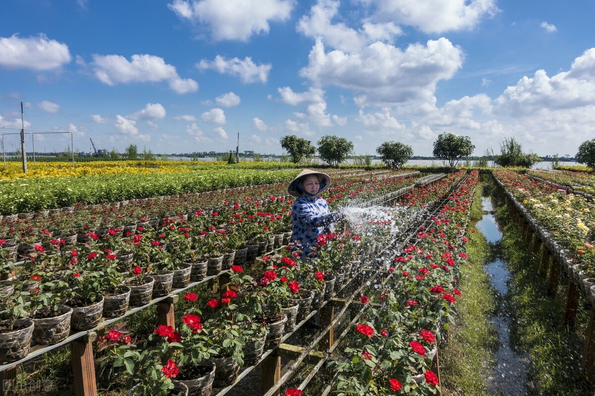 盘点5个被家长误解的专业，学游戏设计是玩？学风景园林是种树？