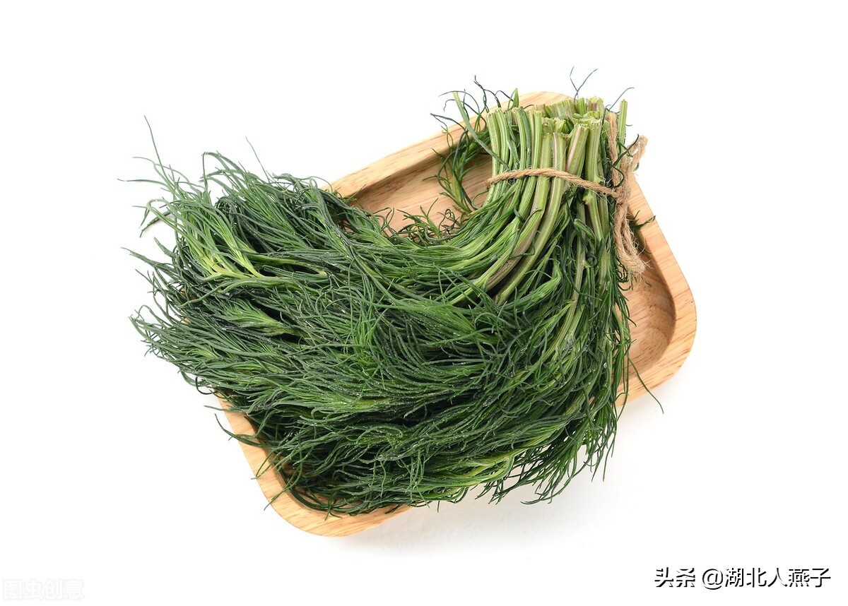 开春十大野菜图片（开春十大野菜图片高清）-第25张图片-科灵网