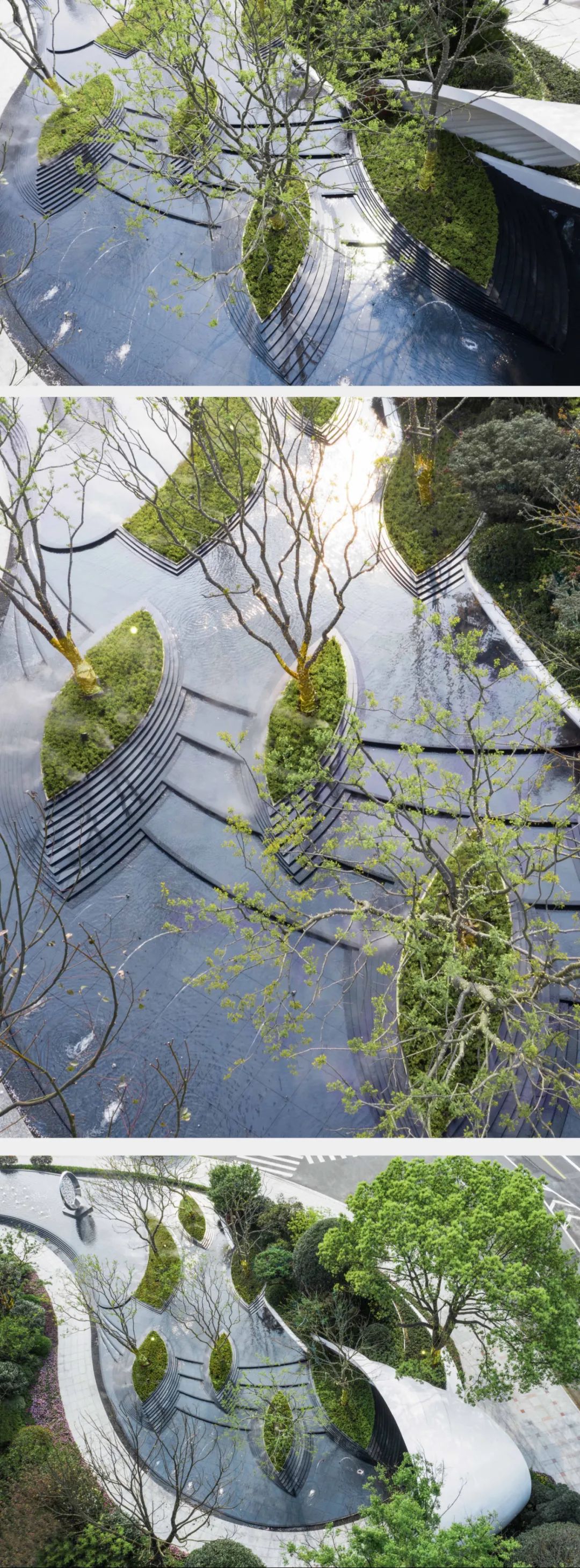 用心的植物搭配，超级美