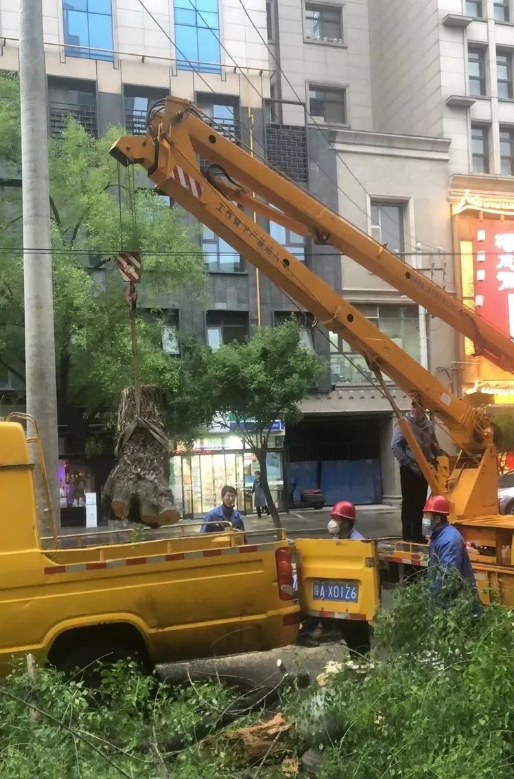 ������԰���̻��ӿ�������·�ϵ�����ľ ���ϵ�·��ȫ