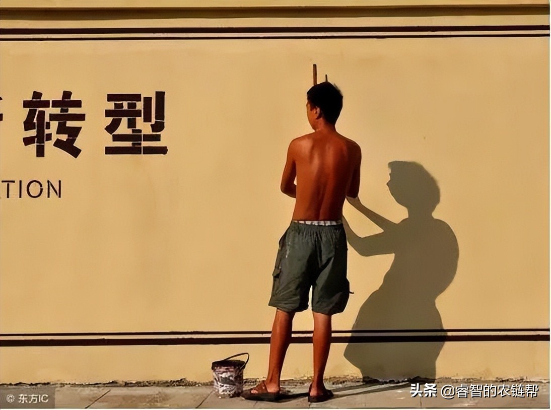 批发市场唯一的出路就是转型集采平台