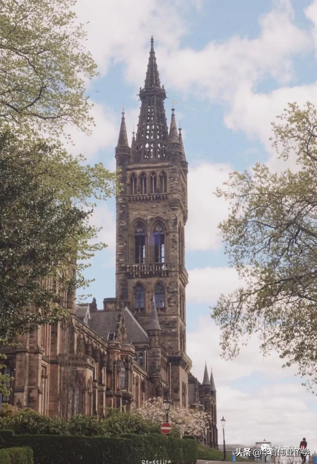 英国硕士毕业后我回国进央企做HR，负责校招的我想给你一点忠告