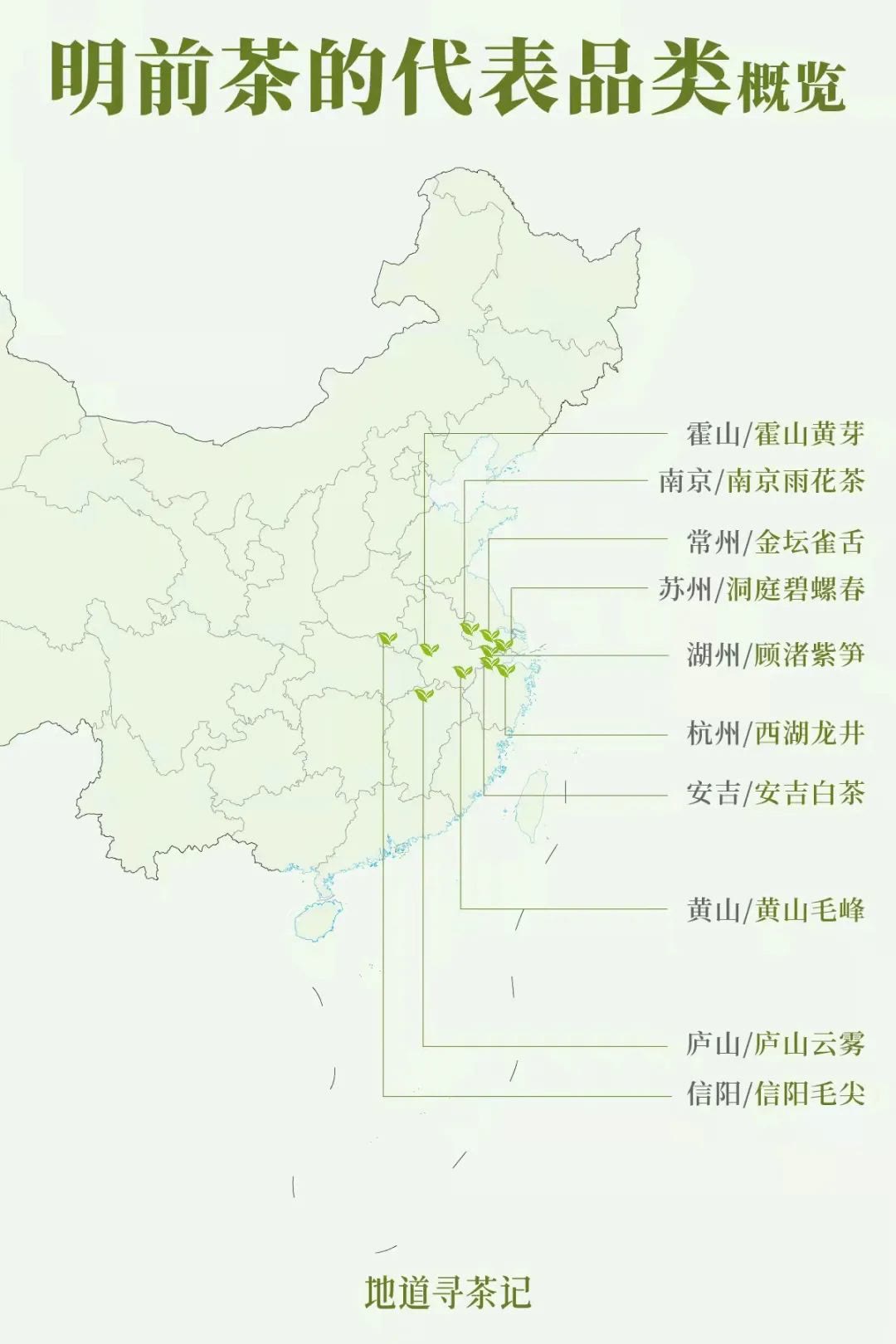 快40000元一斤的“明前茶”，到底贵在哪儿？