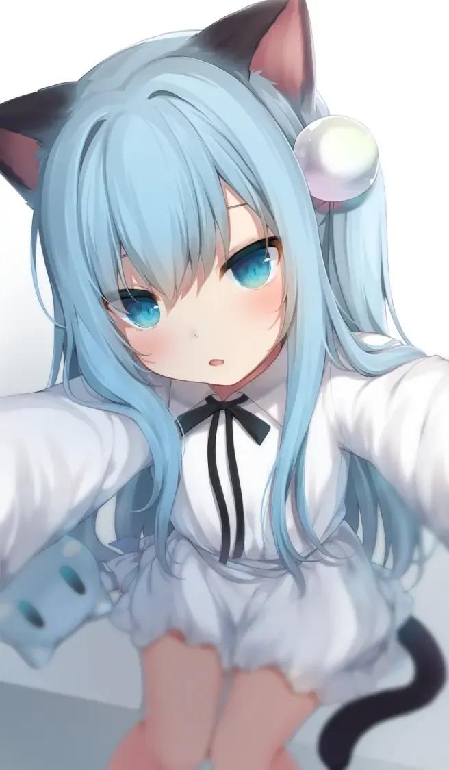 动漫美少女猫娘《猫羽雫》