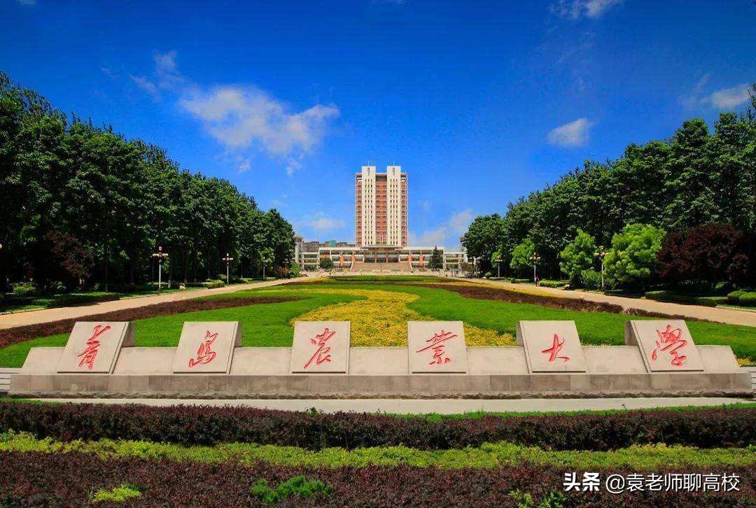 山东农业大学与青岛农业大学，同省的两所农业大学，你会怎么选？