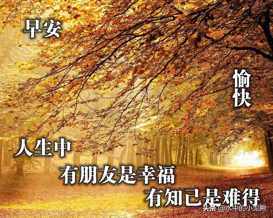 早安心灵鸡汤语录干净好听，最新励志心灵鸡汤经典语录短句