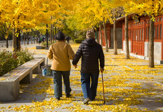 养气血就是养精神,提醒中老年人:冬天少吃白菜菠菜,多吃4样