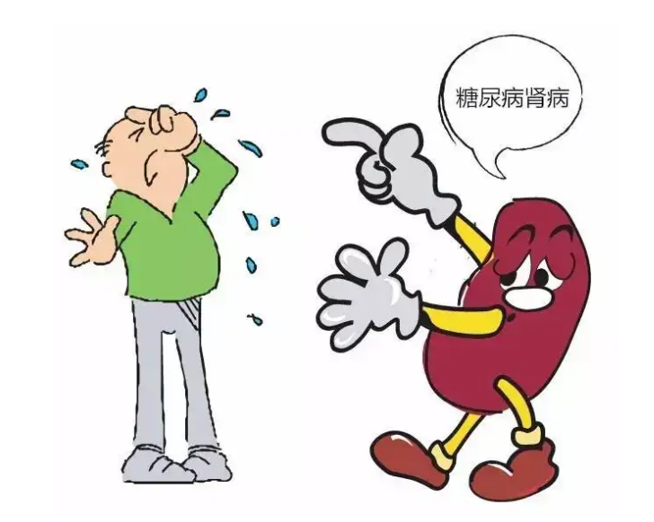 糖尿病肾病患者饮食方案及指导