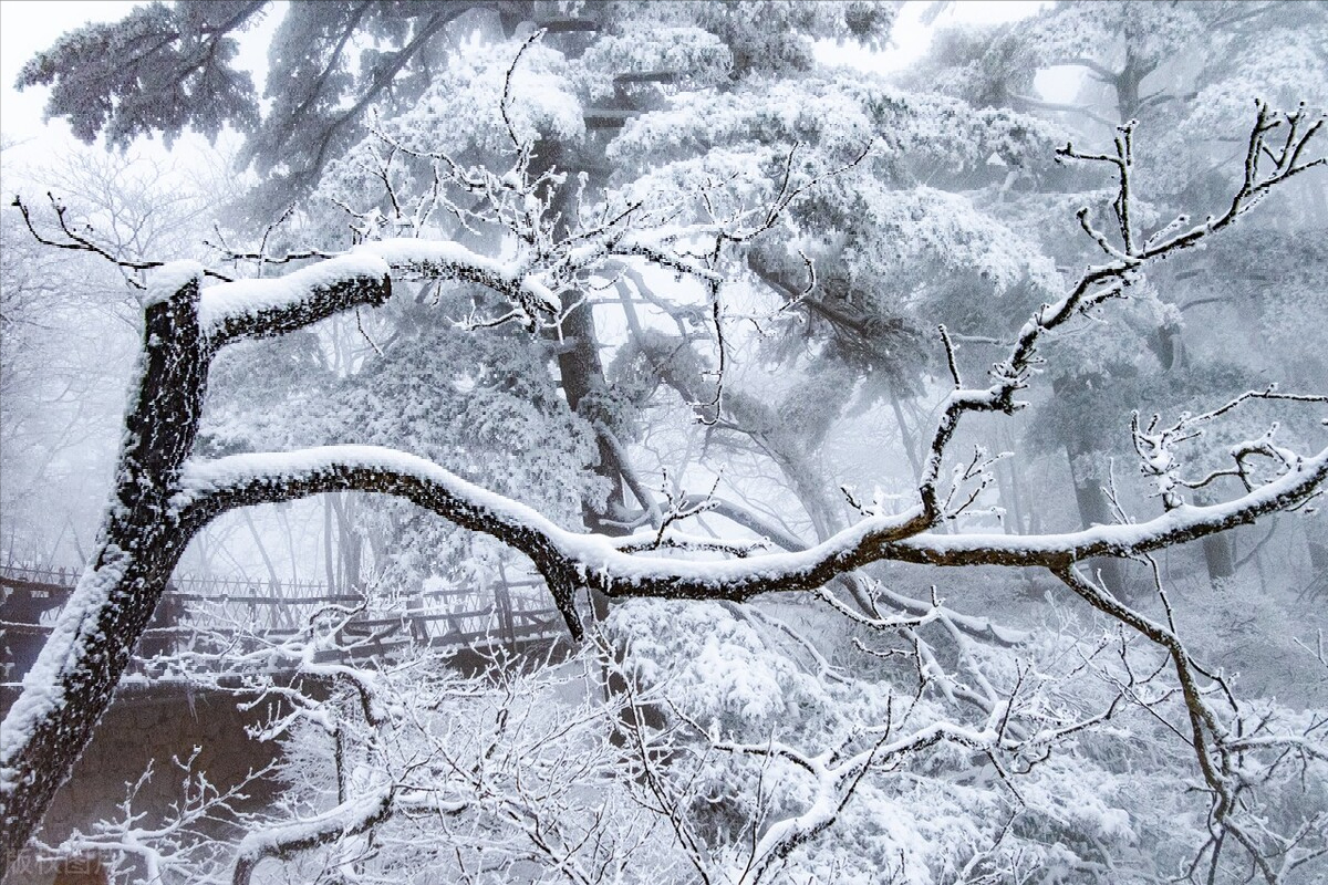 办公室主任（长篇连载）