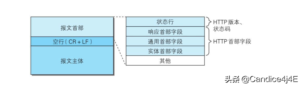 你必须知道的常用的报文首部字段