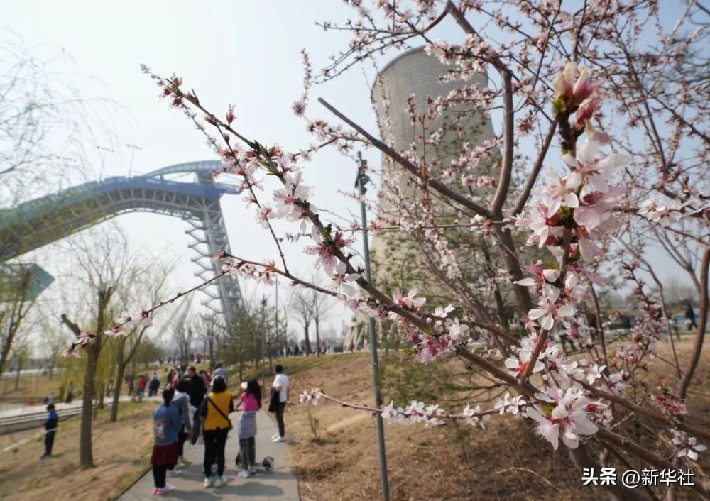 北京哪里举行奥运会（追光丨7年前的今天，北京开启“双奥”之旅）